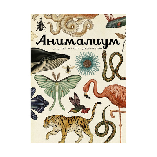 Энциклопедия: Анималиум, Махаон