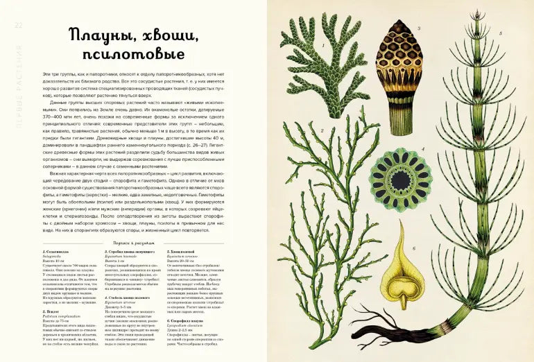 Энциклопедия: Ботаникум, Махаон
