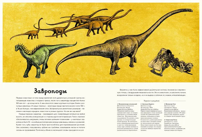Энциклопедия: Динозавриум, Махаон