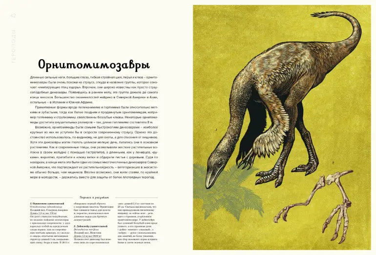 Энциклопедия: Динозавриум, Махаон