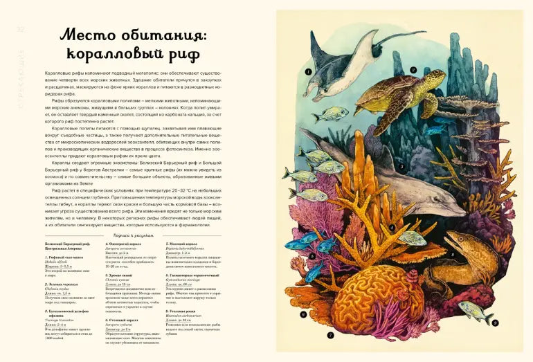 Энциклопедия: Океанариум, Махаон