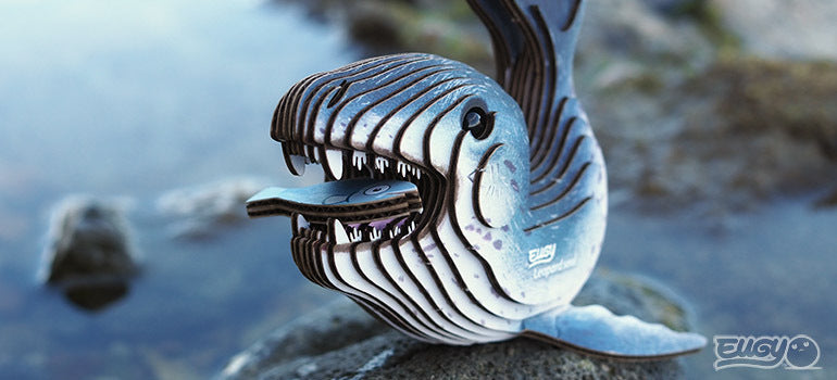 3D puzzle: Leopard Seal, EUGY