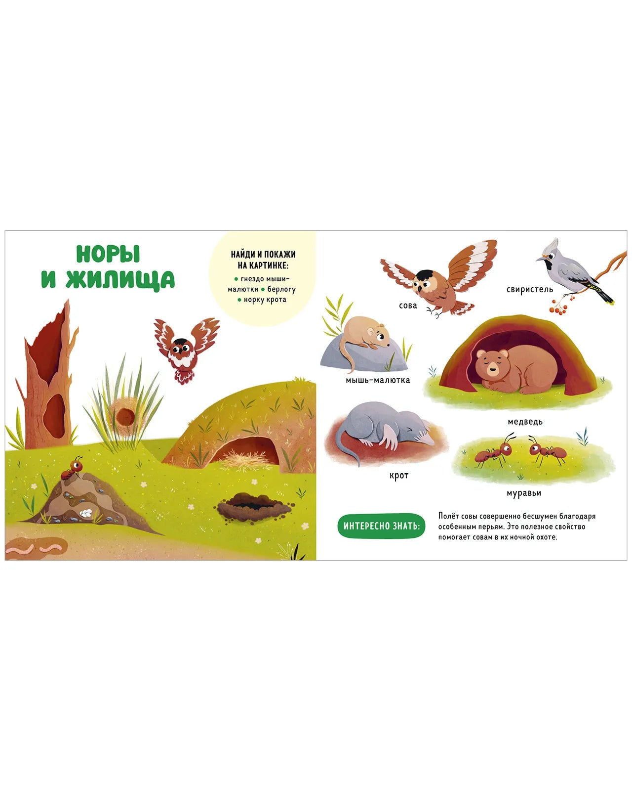 Главная книга малыша. Прогулки по лесу, Clever