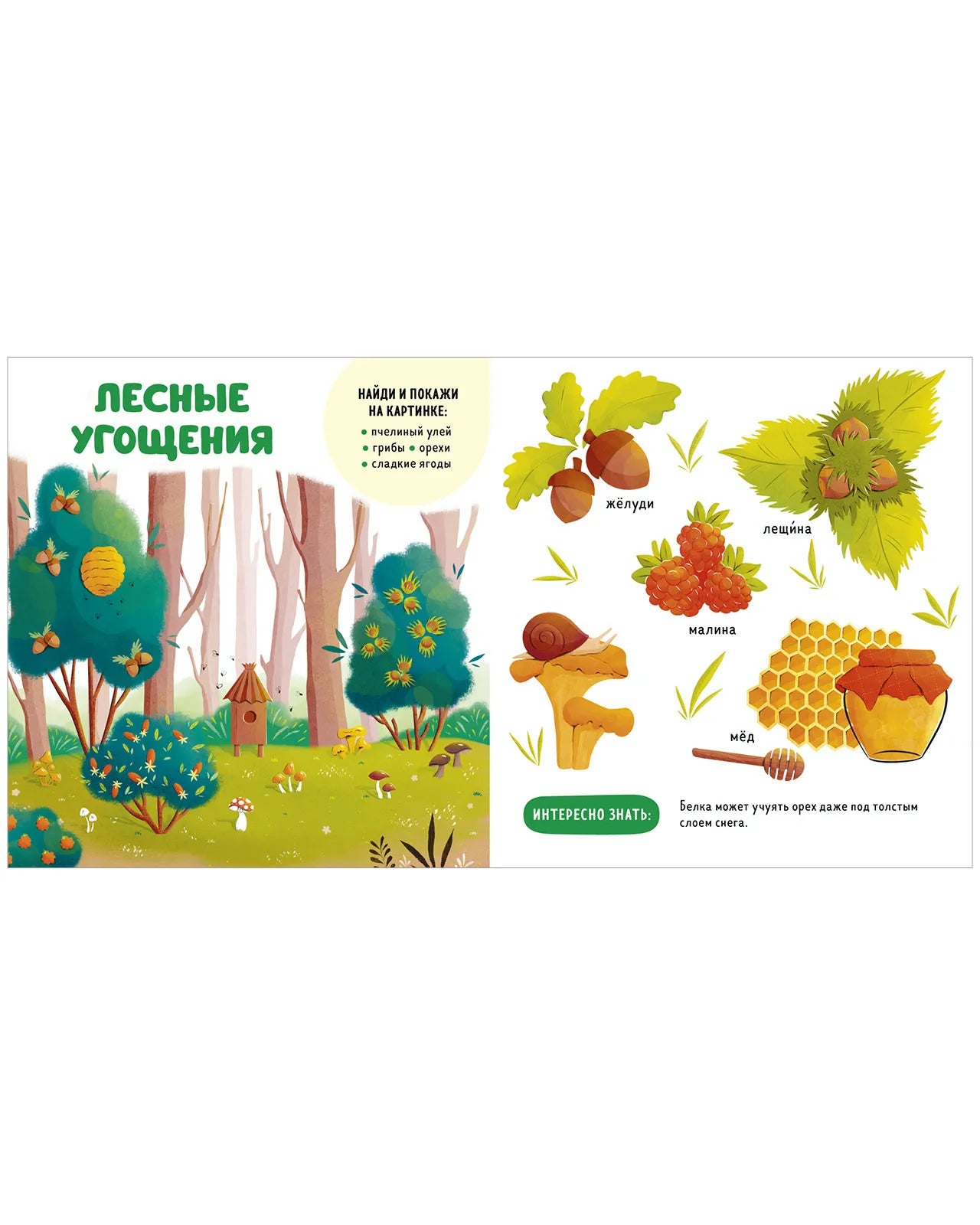 Главная книга малыша. Прогулки по лесу, Clever