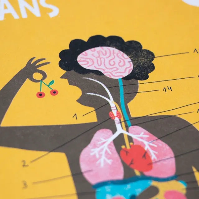 Inside Me, Human Body Board Game for Kids 7+, 96 Parts to Discover