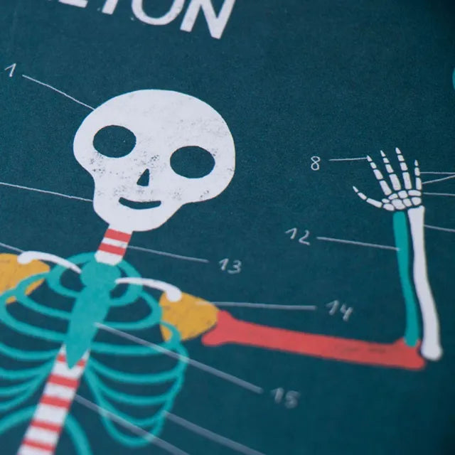 Inside Me, Human Body Board Game for Kids 7+, 96 Parts to Discover