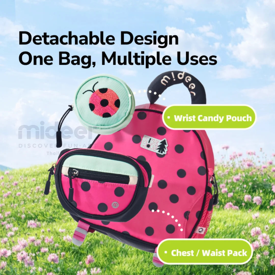 Little Pink Ladybug, Outing Backpack for Kids 3+