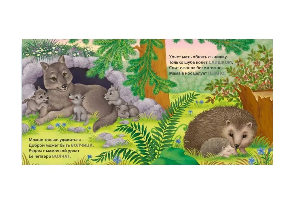 Книжки-картонки: Загадки-рифмы. Мамы и малыши. Дикие животные, Робинс