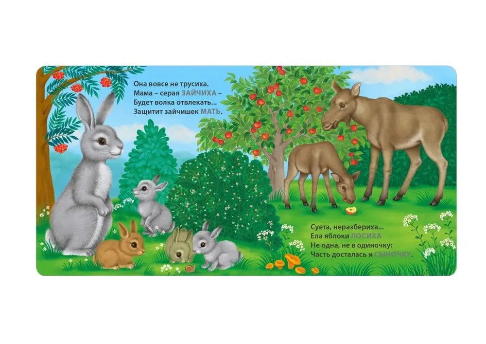 Книжки-картонки: Загадки-рифмы. Мамы и малыши. Дикие животные, Робинс