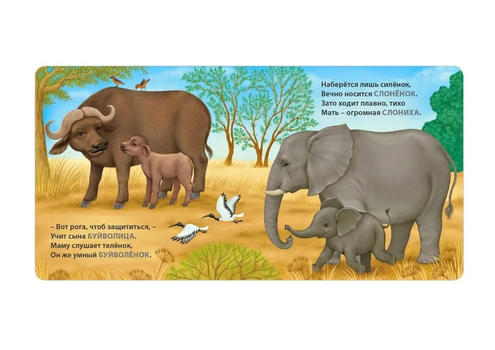 Книжки-картонки: Загадки-рифмы. Мамы и малыши. Дикие животные, Робинс