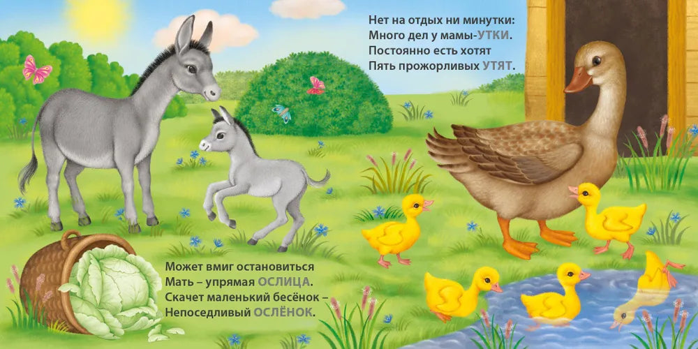 Книжки-картонки: Загадки-рифмы. Мамы и малыши. Домашние животные, Робинс