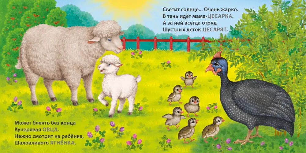 Книжки-картонки: Загадки-рифмы. Мамы и малыши. Домашние животные, Робинс