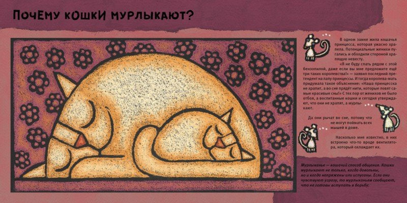 Кошачьи почему: Лила Прап