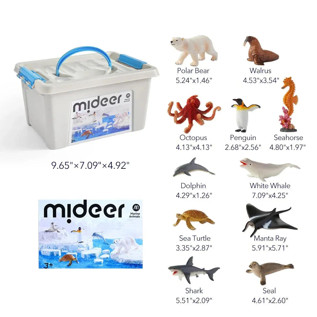 Mideer marine toy set with storage box and various sea creature models on a white background