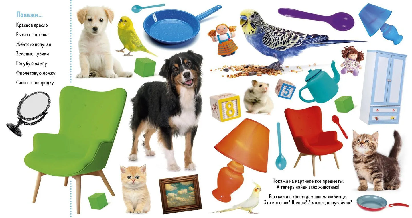 Найди и покажи. Фотокниги. Твой дом, Clever