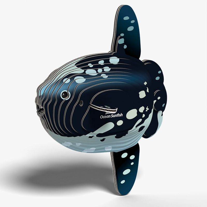 3D model of a sunfish with 'Ocean Sunfish' branding on a white background