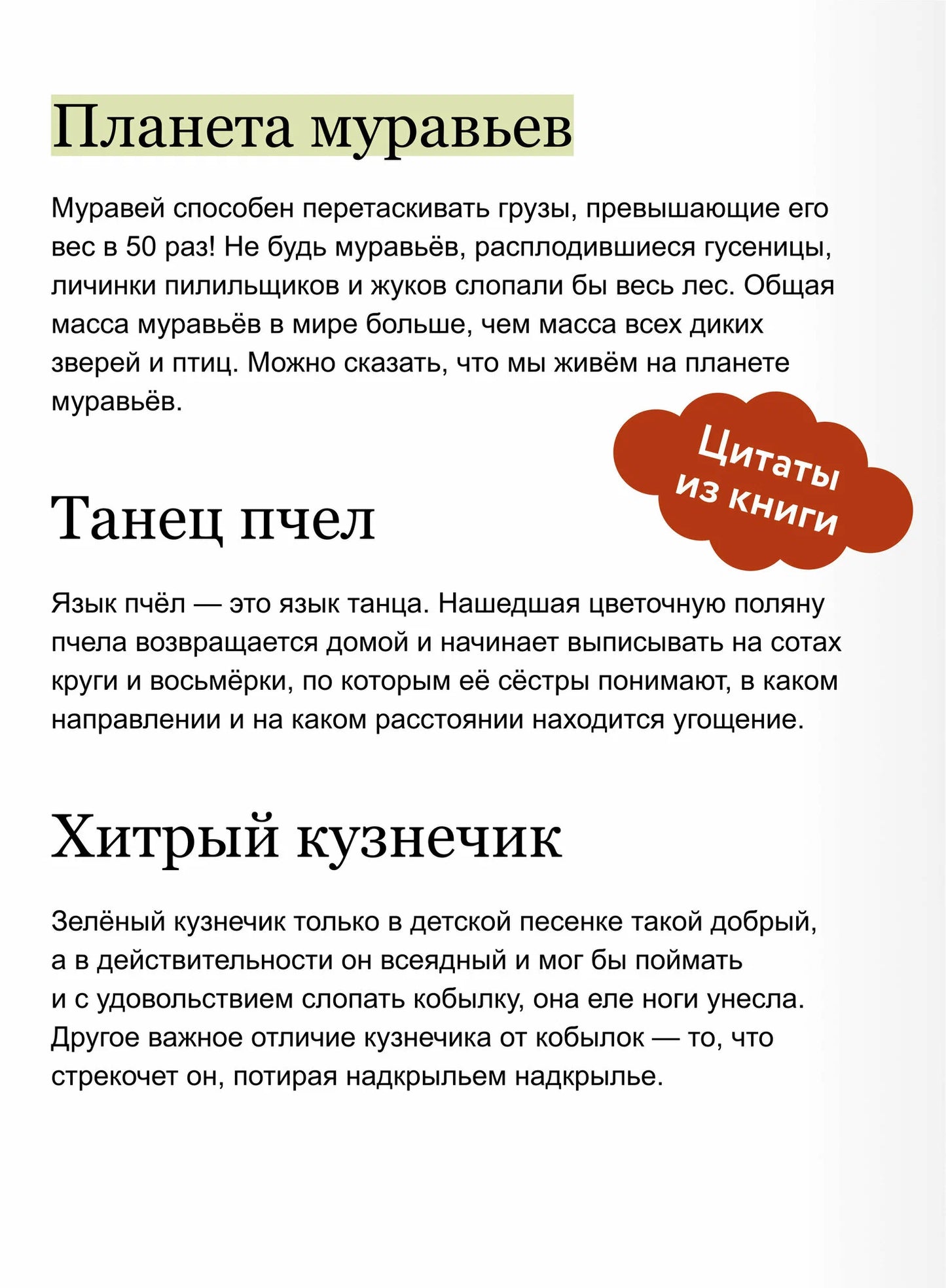 Чевостик. Детская энциклопедия. Насекомые и пауки