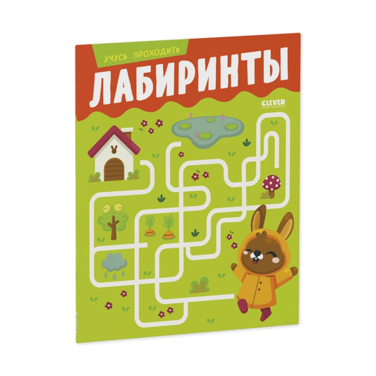 Развивайся и играй! Учусь проходить лабиринты, Clever