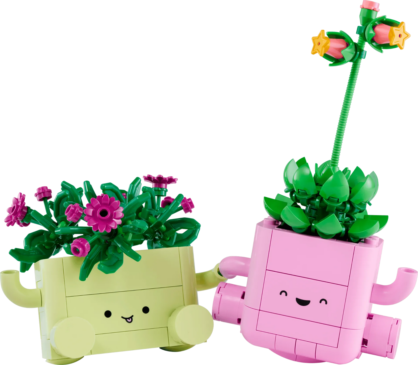 Rocking Plants 11506, Lego Botanicals