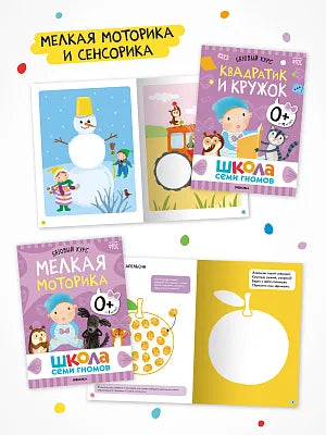 Школа Семи Гномов. Годовой базовый курс. Комплект 0+
