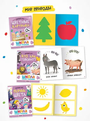 Школа Семи Гномов. Годовой базовый курс. Комплект 0+