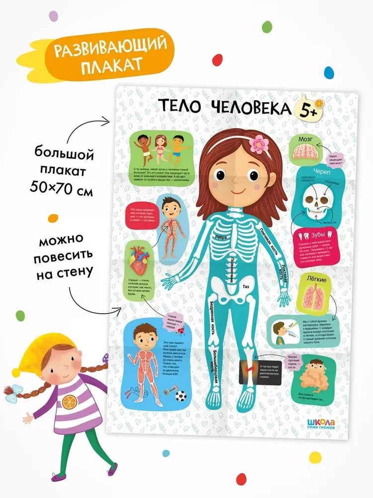 Школа Семи Гномов. Годовой базовый курс. Комплект 5+