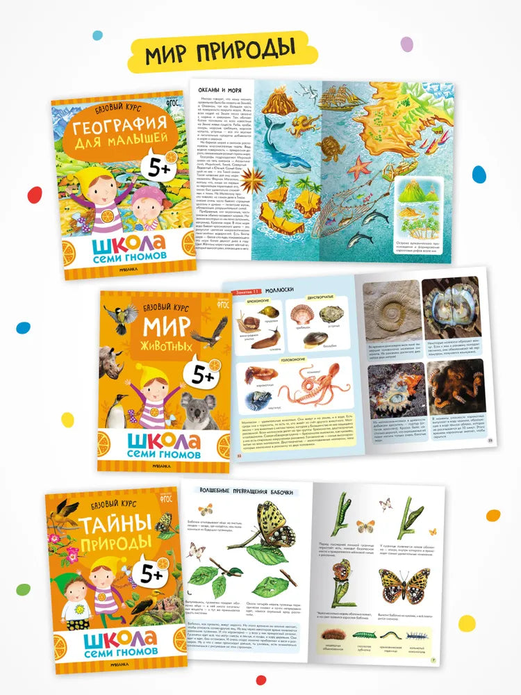 Школа Семи Гномов. Годовой базовый курс. Комплект 5+