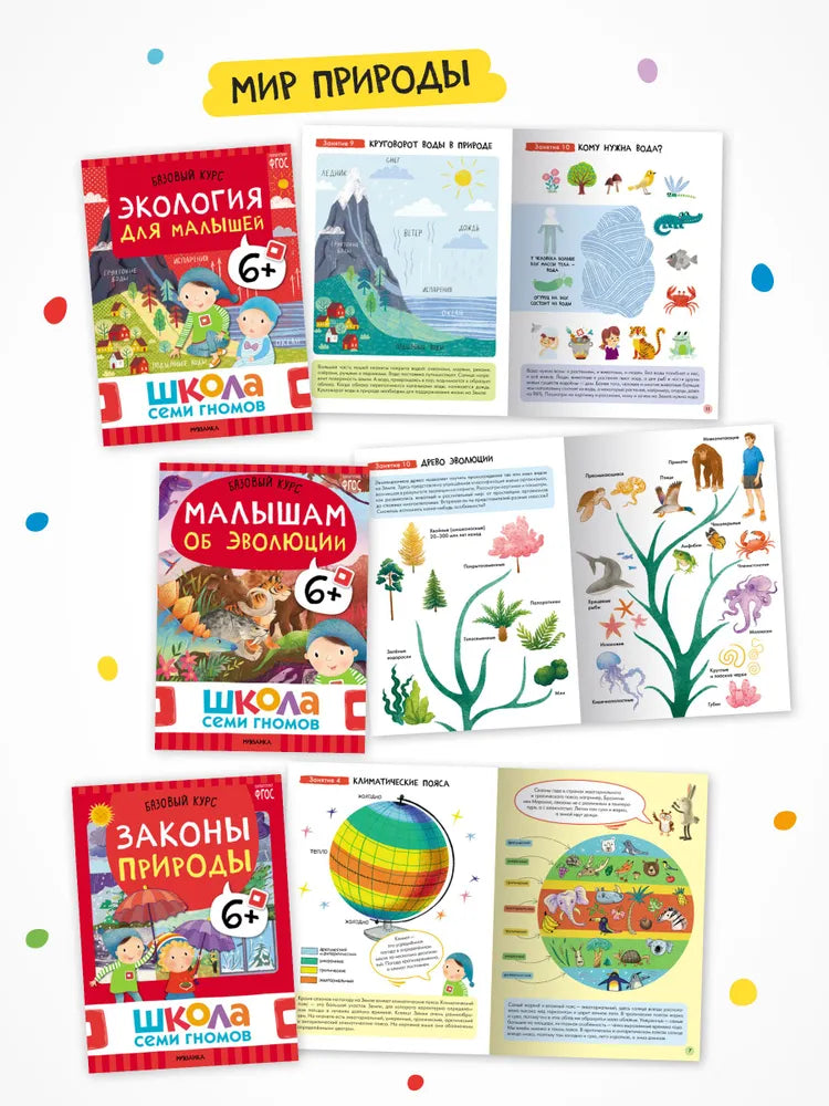 Школа Семи Гномов. Годовой базовый курс. Комплект 6+