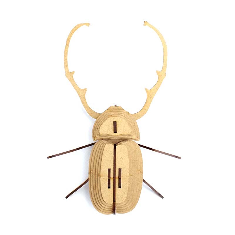 Insecto - Calingratus