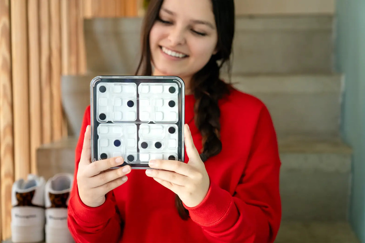 Logic game: Dice Deduction, Smartgames