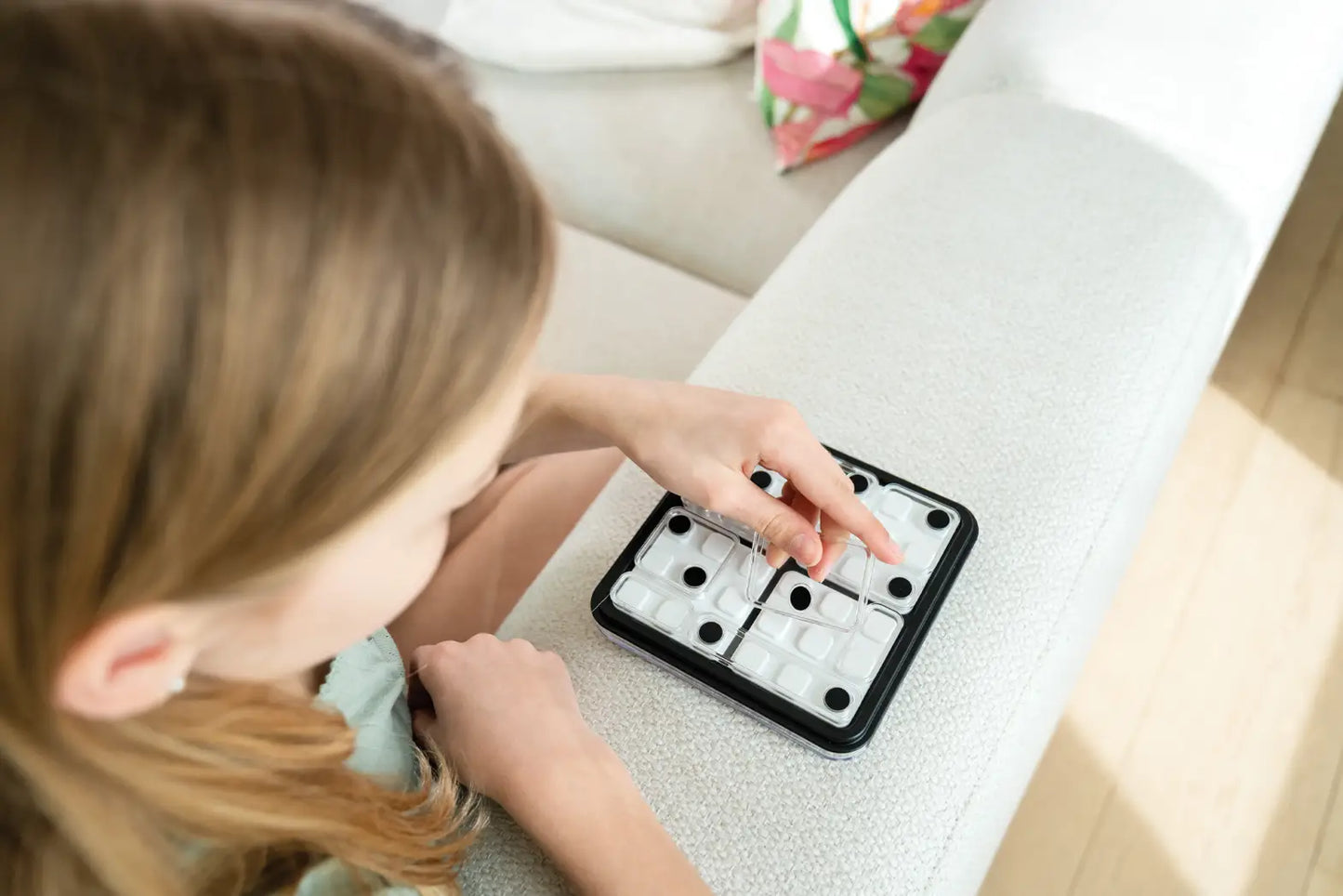 Logic game: Dice Deduction, Smartgames