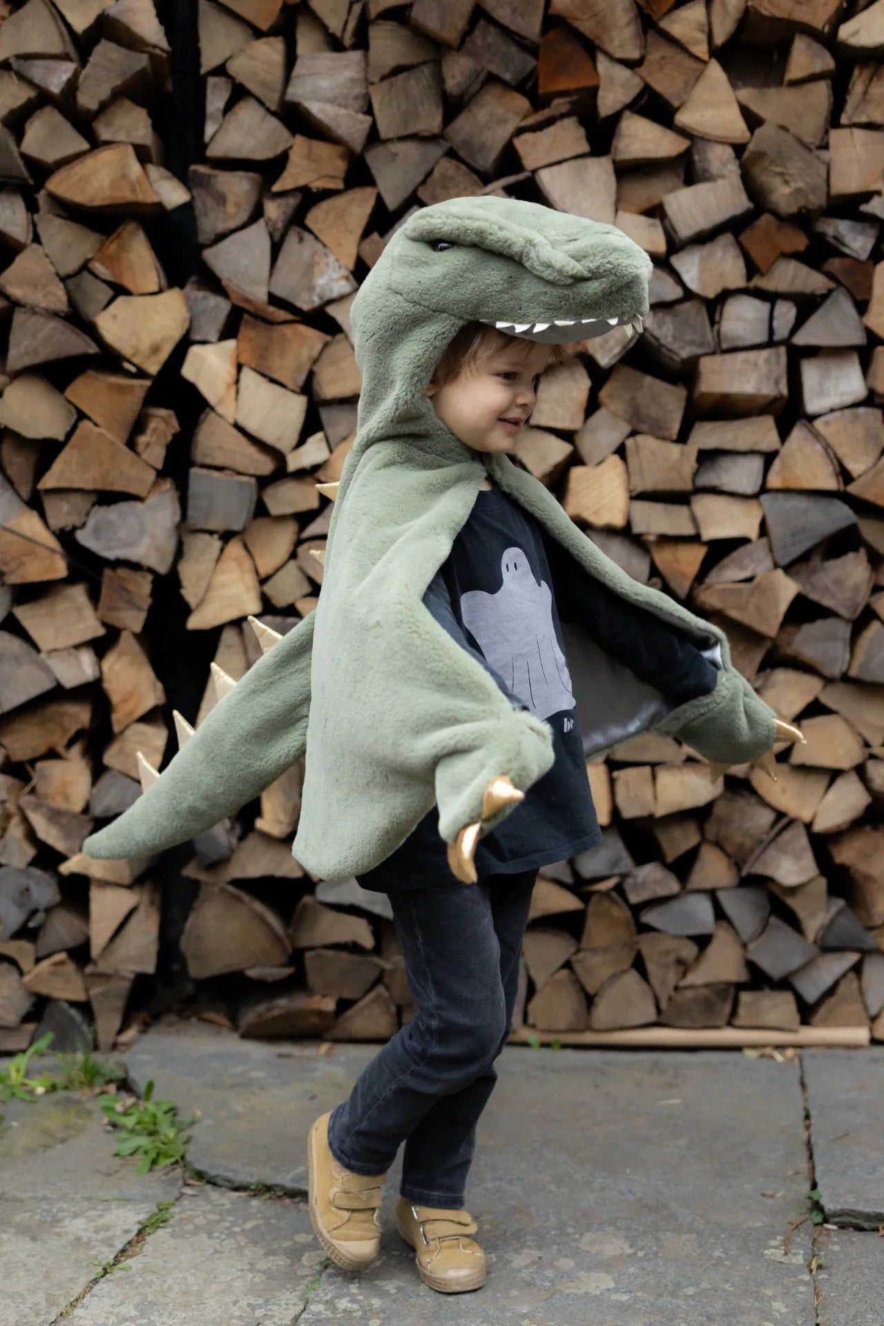 T-Rex Cuddle, Dinosaur Costume Cape For Kids