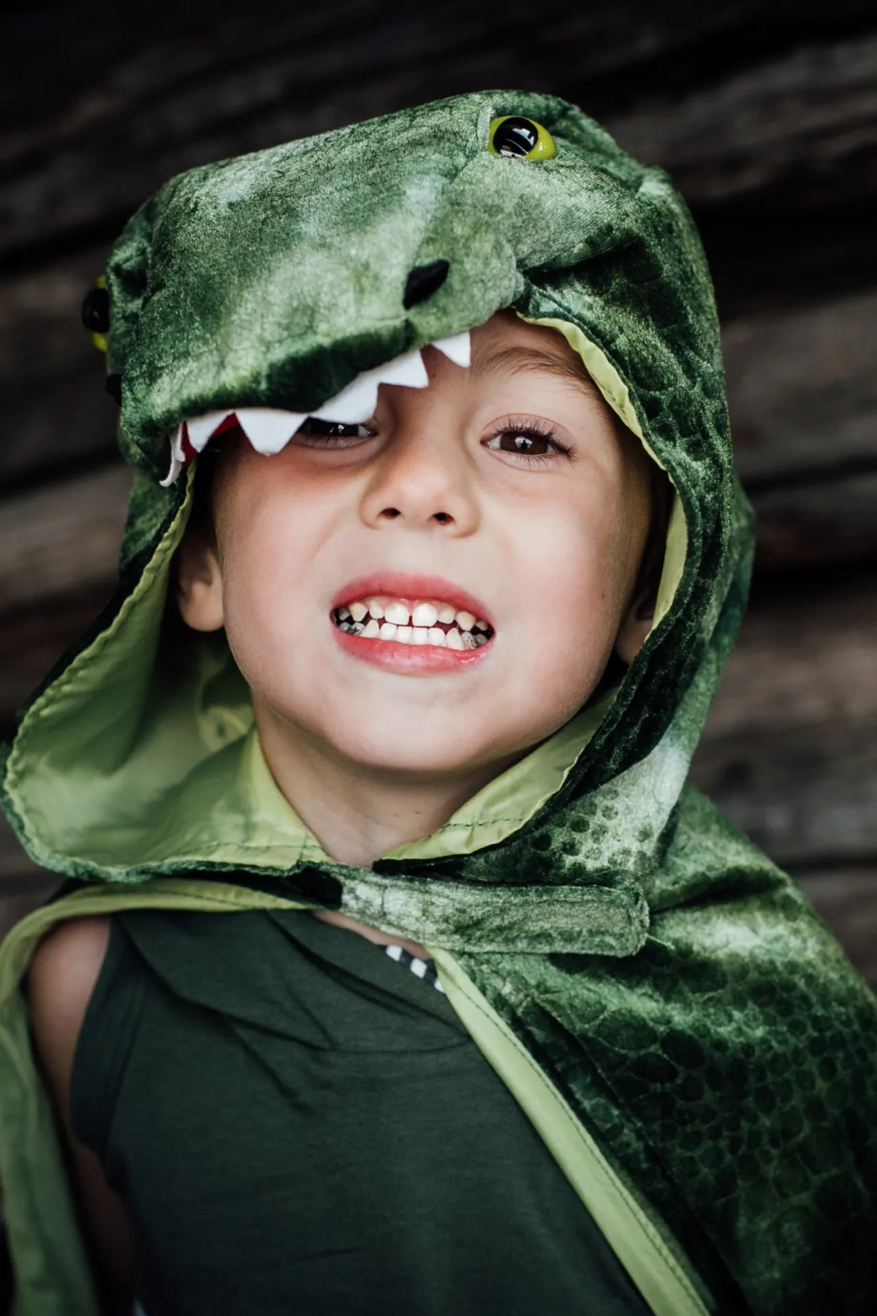 T-Rex Hooded, Dinosaur Costume Cape For Kids 3+