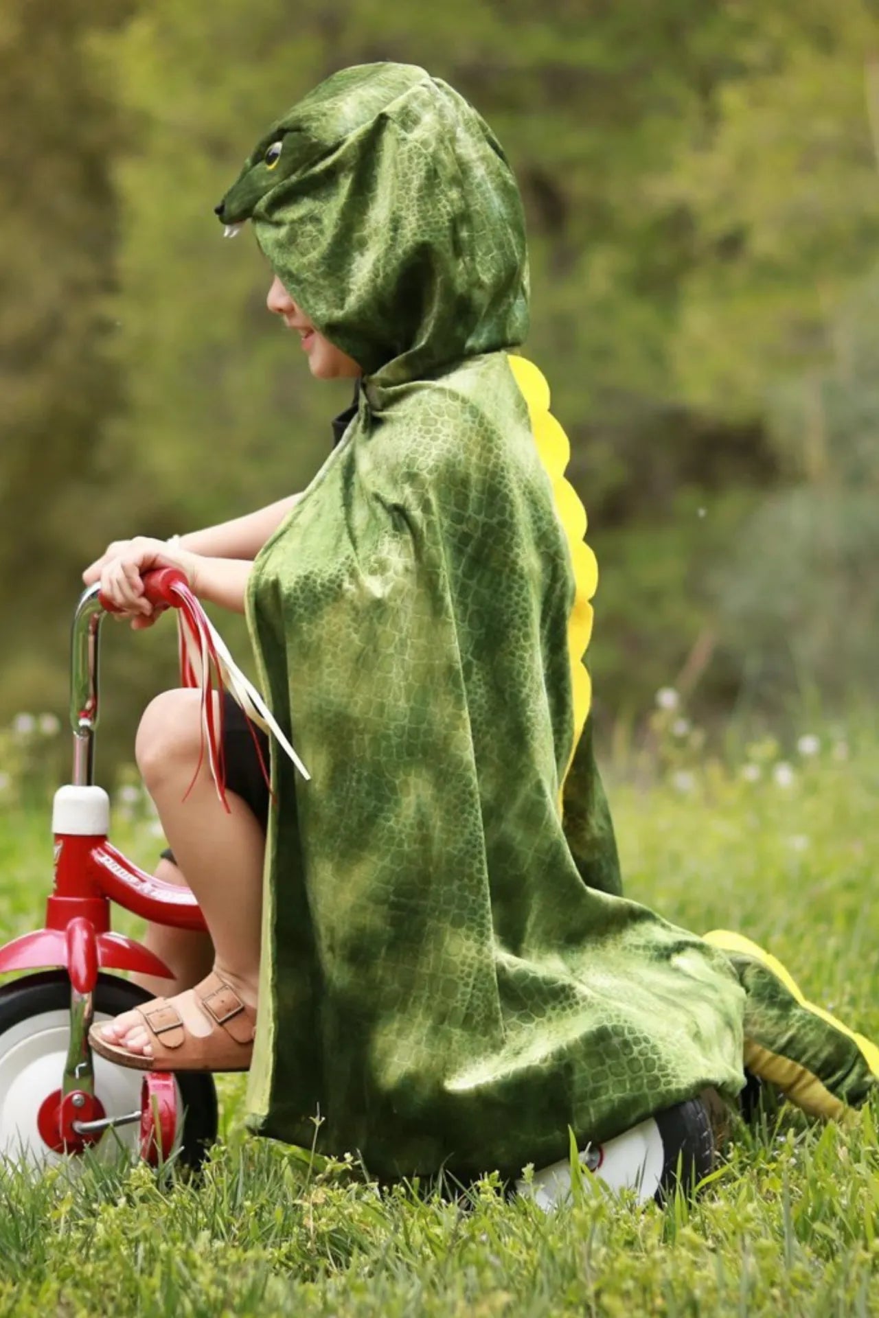 T-Rex Hooded, Dinosaur Costume Cape For Kids 3+