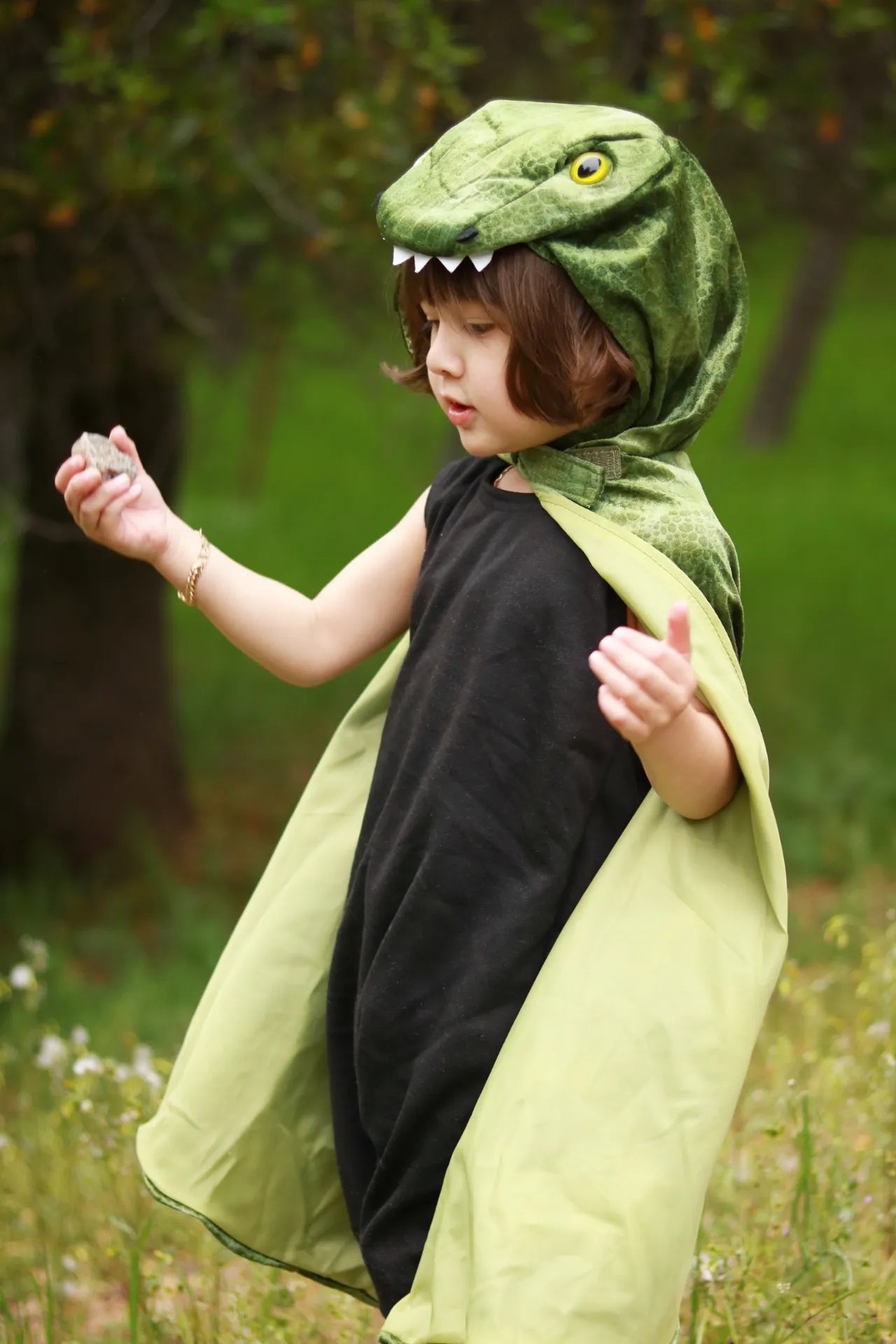 T-Rex Hooded, Dinosaur Costume Cape For Kids 3+