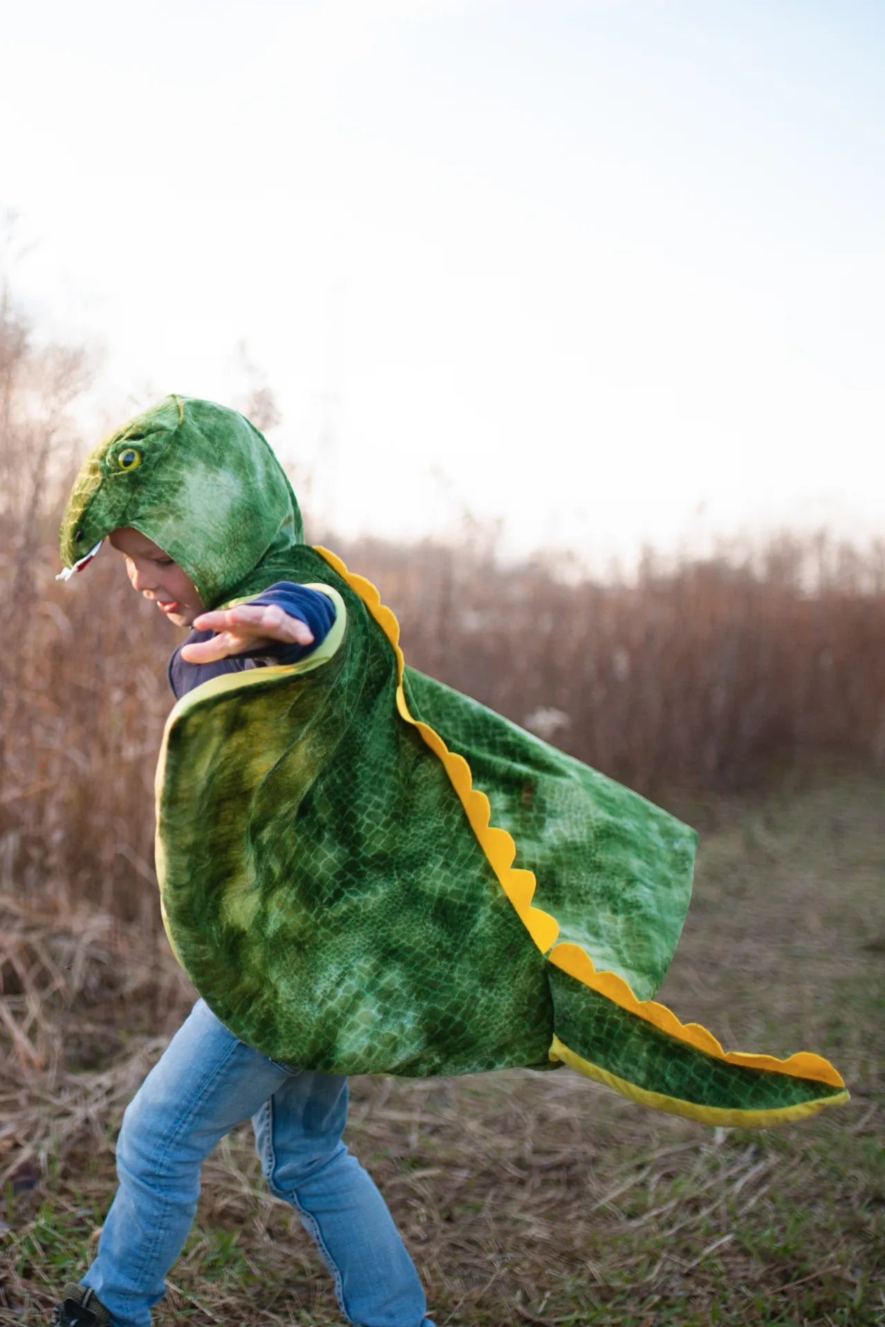 T-Rex Hooded, Dinosaur Costume Cape For Kids 3+