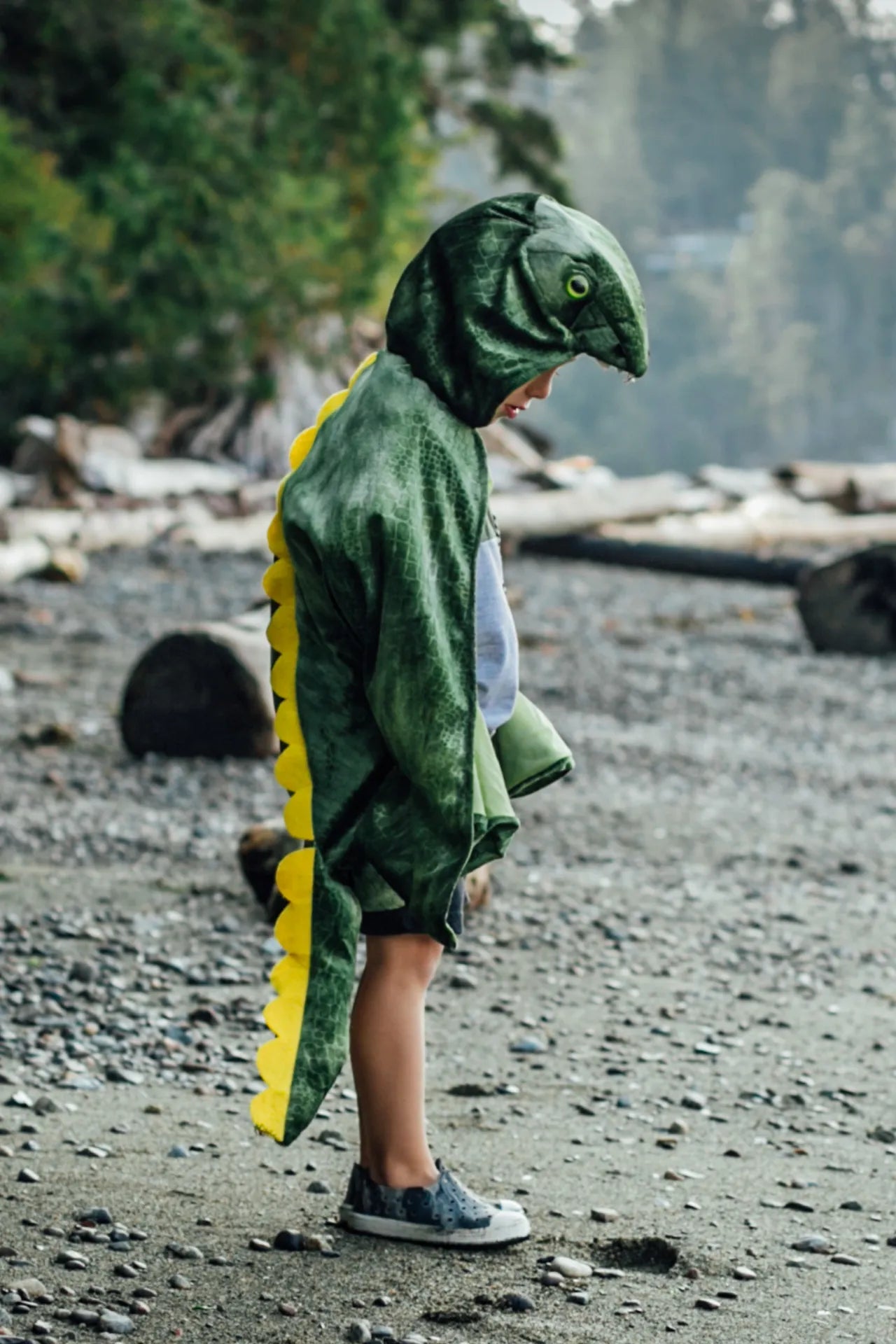 T-Rex Hooded, Dinosaur Costume Cape For Kids 3+