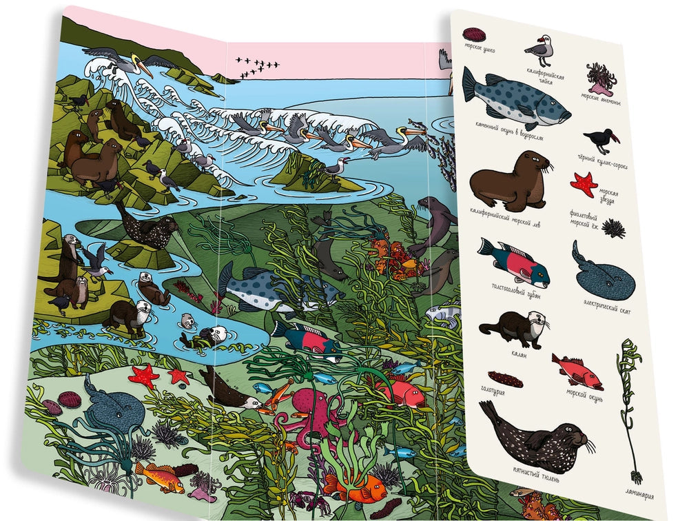 Найди и покажи: Океаны, Тьерри Лаваль