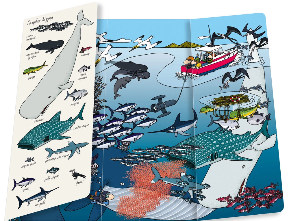 Найди и покажи: Океаны, Тьерри Лаваль