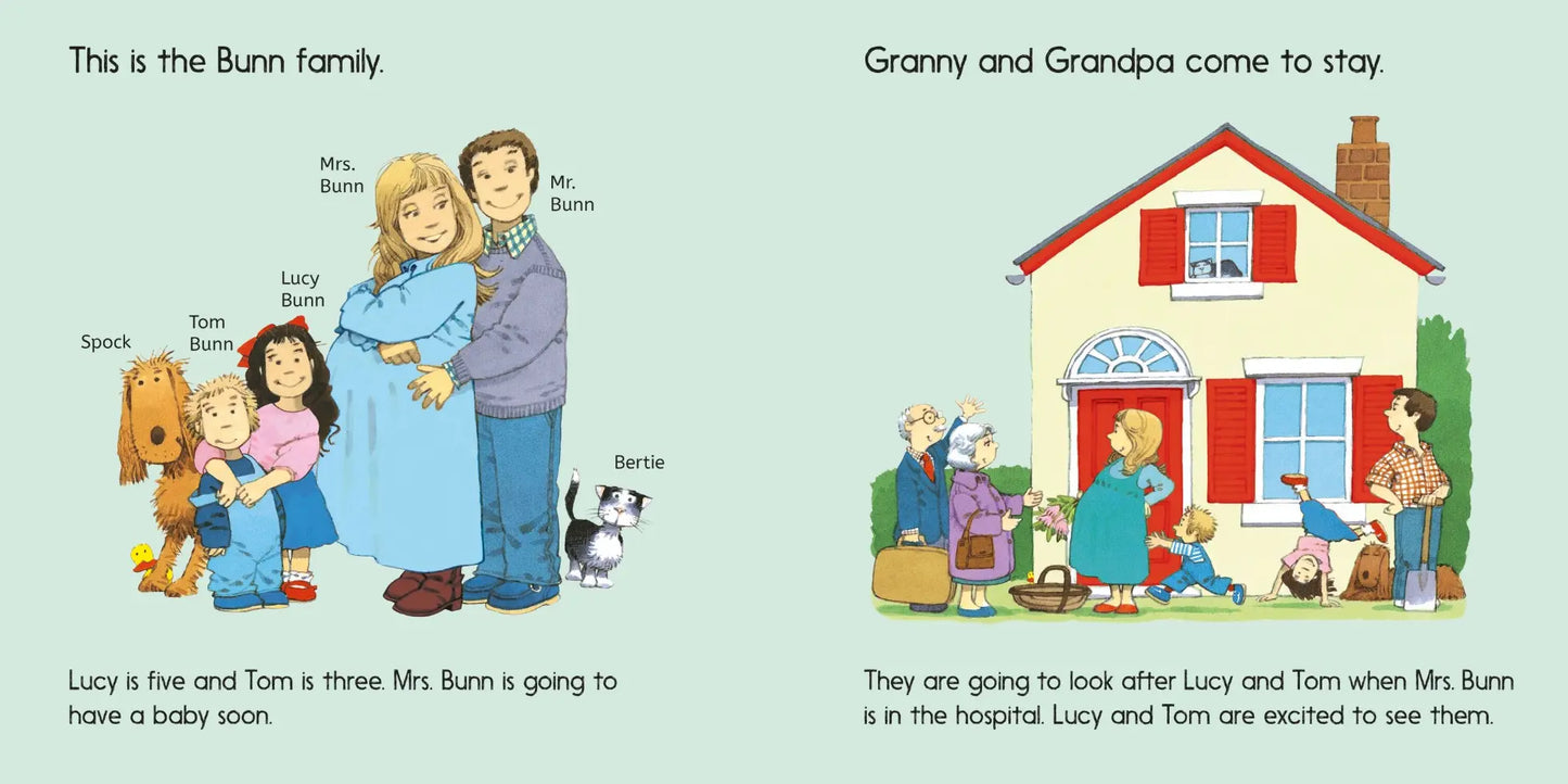 Experiences book: The New Baby, Usborne