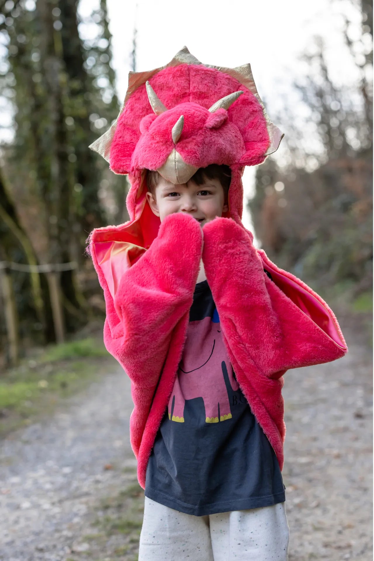 Triceratops Cuddle, Dinosaur Costume Cape For Kids 2+