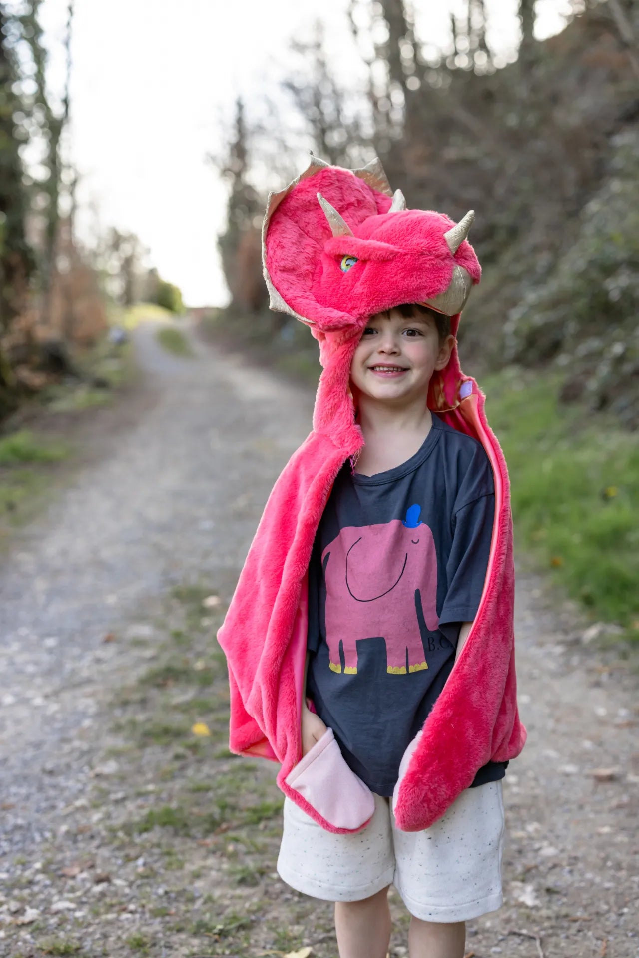 Triceratops Cuddle, Dinosaur Costume Cape For Kids 2+