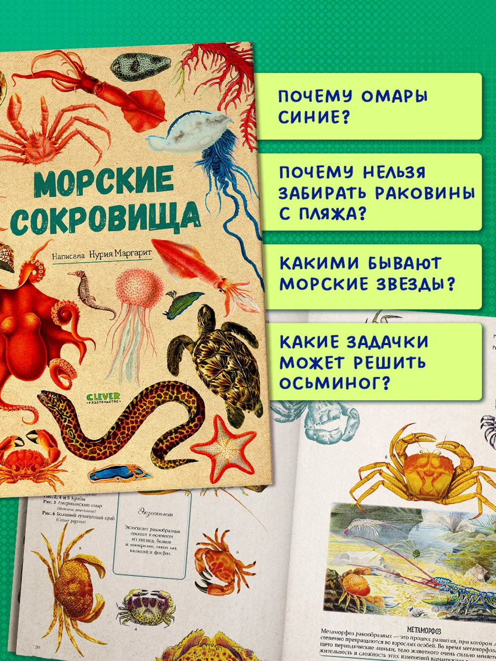 Удивительные энциклопедии: Морские сокровища, Clever
