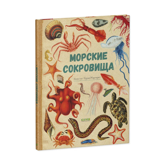 Удивительные энциклопедии: Морские сокровища, Clever