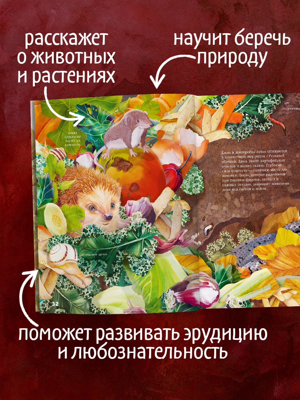 Удивительные энциклопедии: Секреты осенного леса, Clever