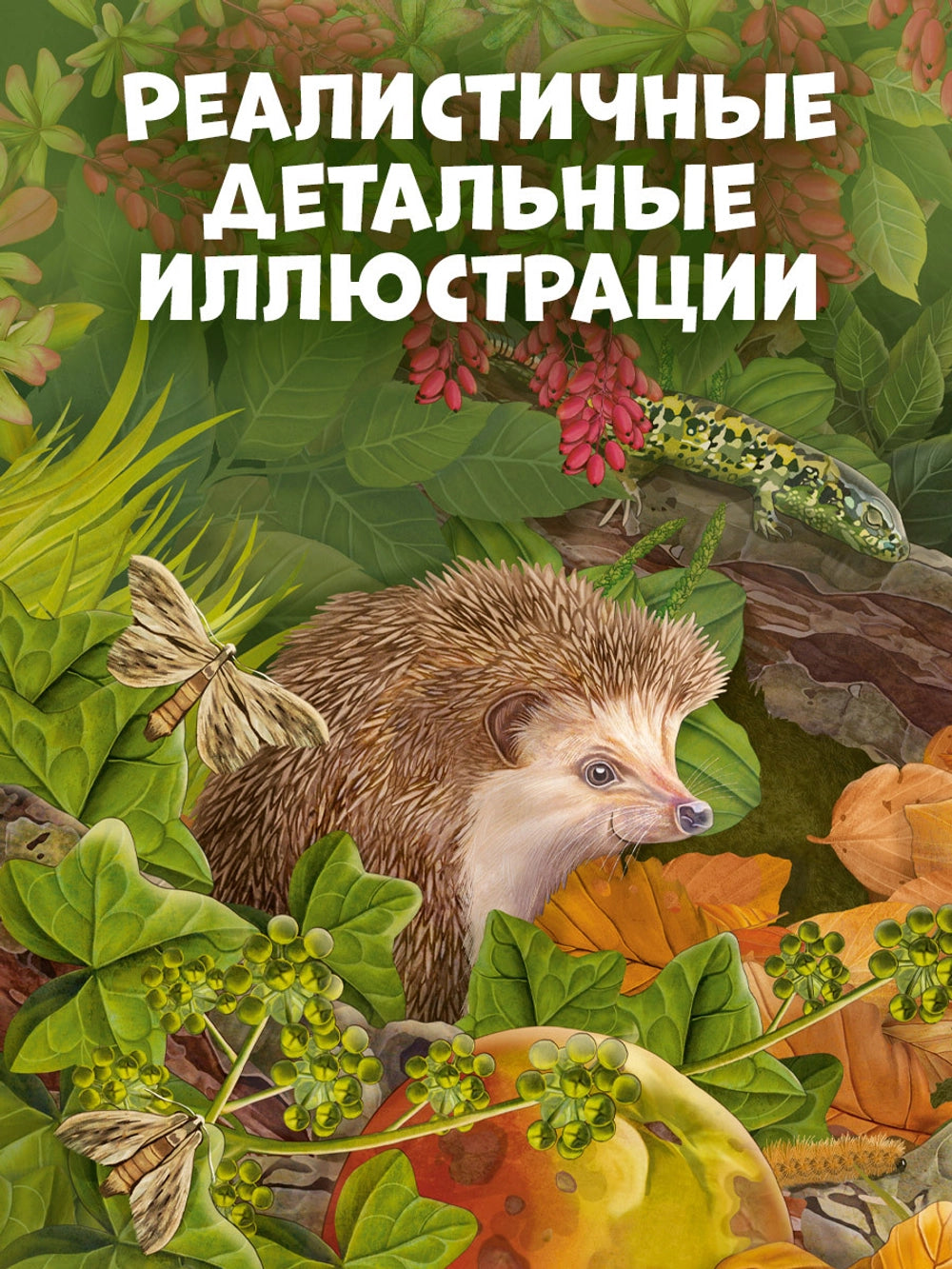 Удивительные энциклопедии: Секреты осенного леса, Clever