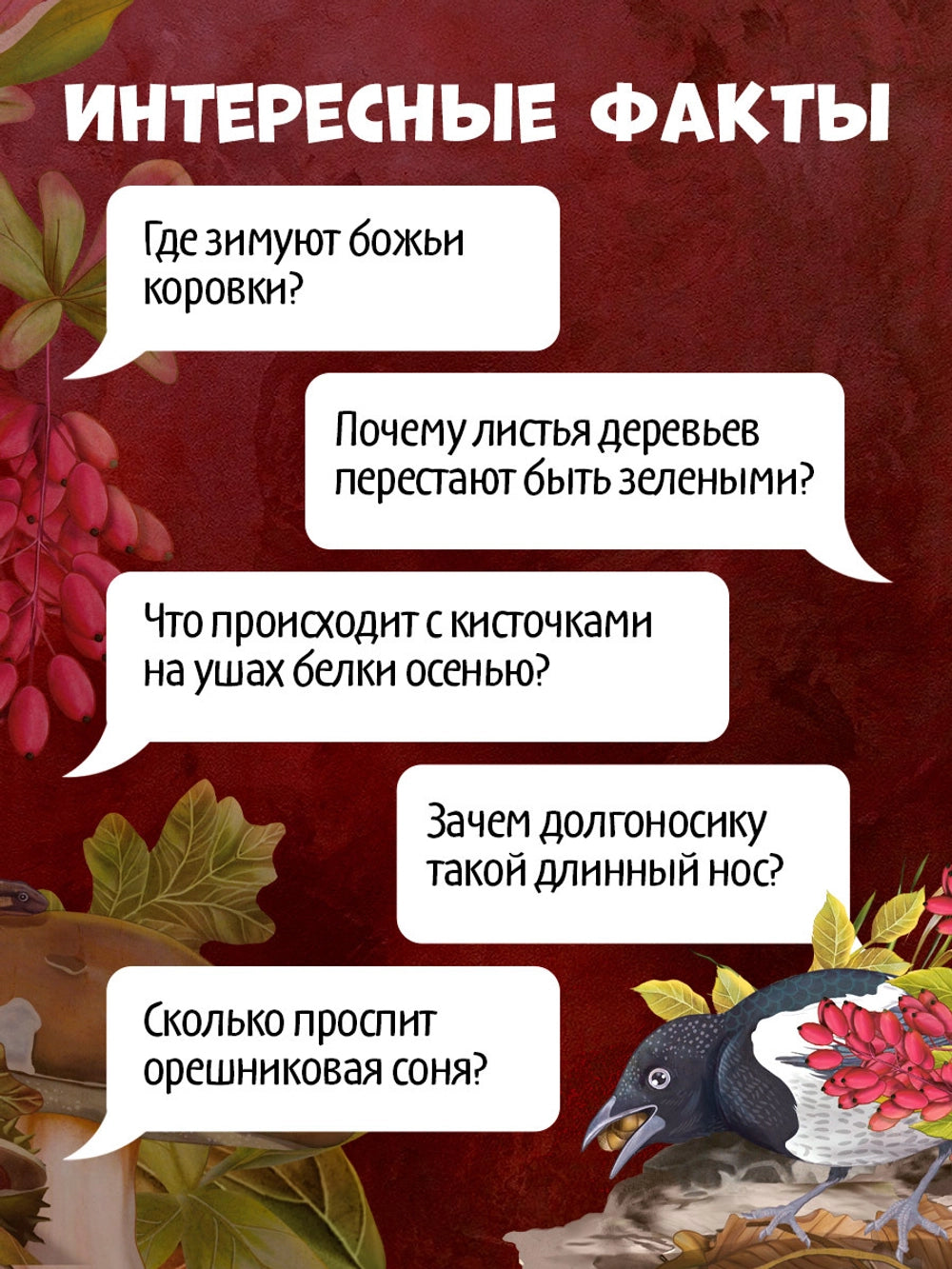 Удивительные энциклопедии: Секреты осенного леса, Clever