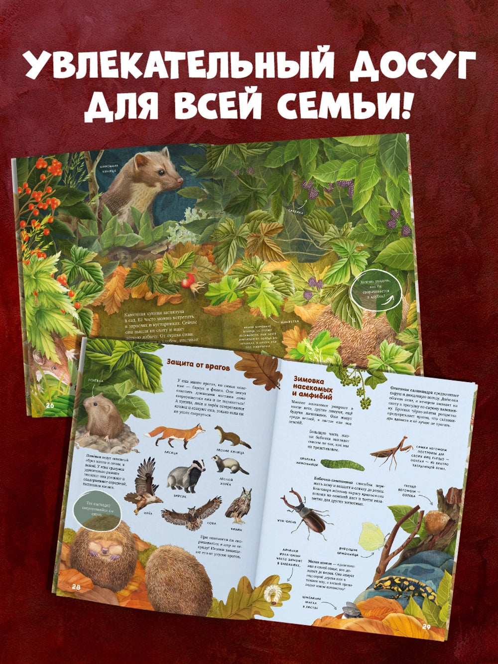 Удивительные энциклопедии: Секреты осенного леса, Clever