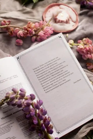 Вечные истории: Маленькие женщины, Луиза Мэй Олкотт