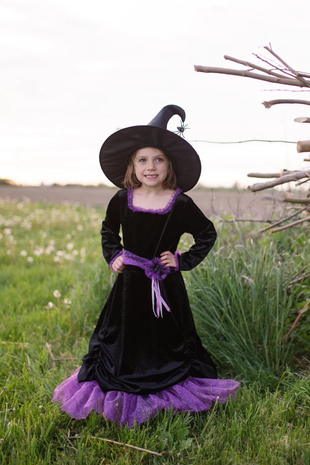 Vera The Velvet Witch: Dress With Hat For Kids 2+, Halloween Costume, Size US 3-4